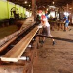 Técnico em Beneficiamento de madeira : mercado de trabalho